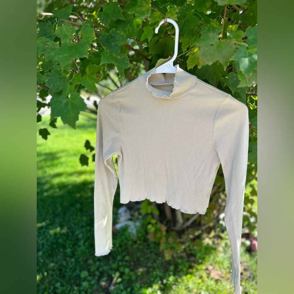 Aerie cropped rib turtleneck